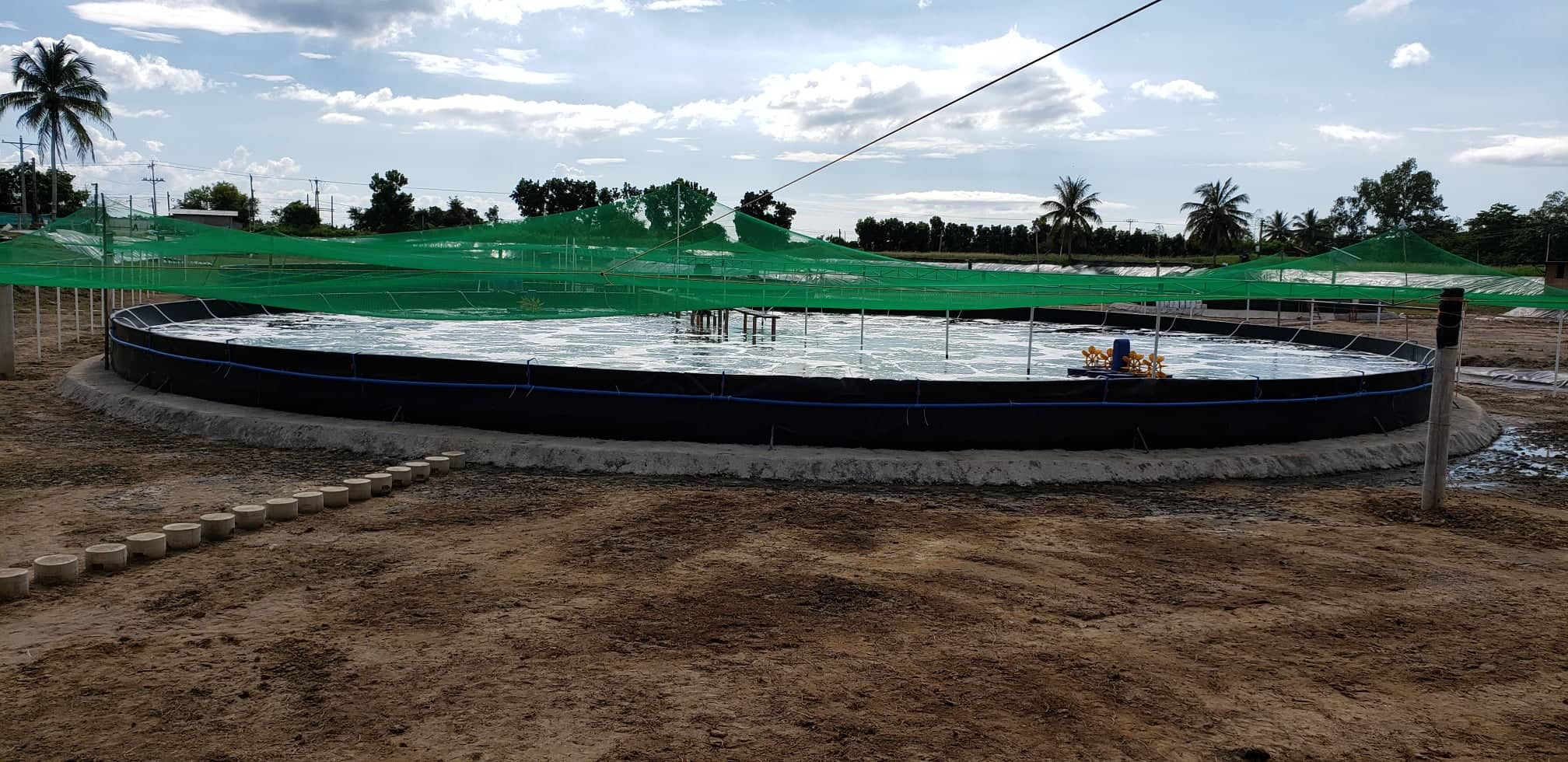 BFT, a tank-based nursery system for the production of whiteleg shrimp. Image Credit: Inland Aquatic Resources Research Division (IARRD)